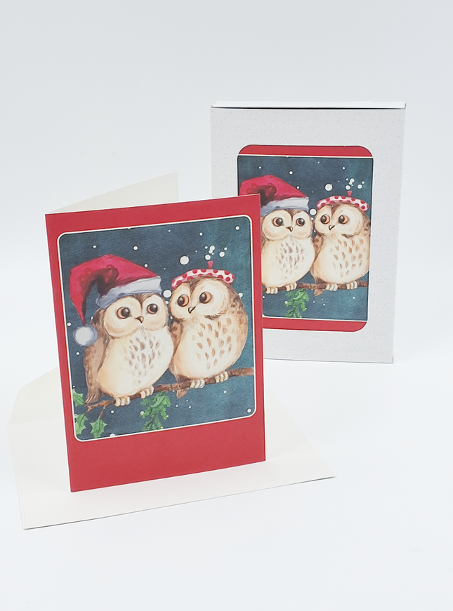 Kerstkaarten doosje 10x twee uilen (F13039)