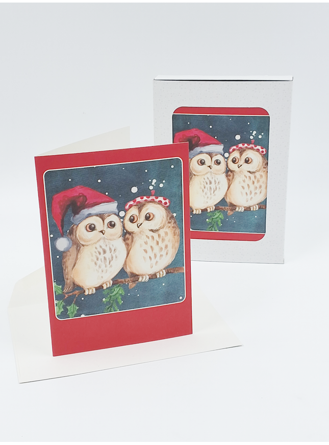 Kerstkaarten doosje 10x twee uilen (F13039)