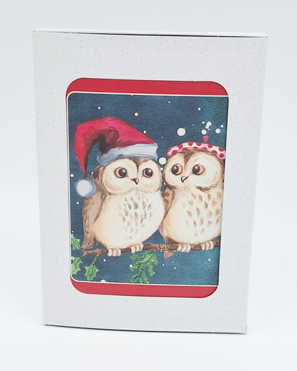 Kerstkaarten doosje 10x twee uilen (F13039)