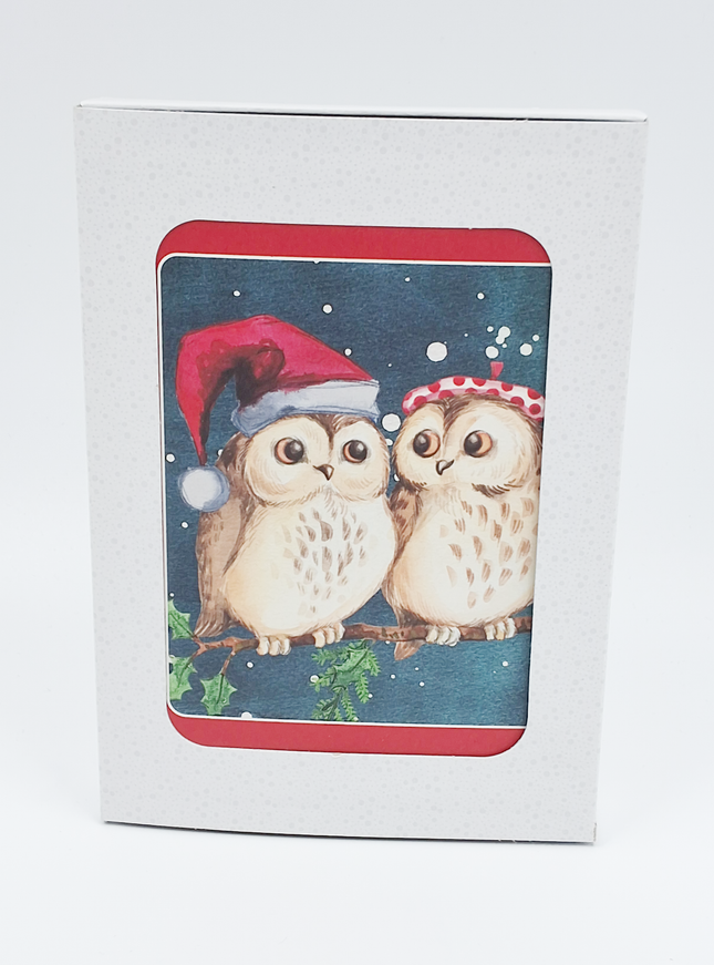 Kerstkaarten doosje 10x twee uilen (F13039)