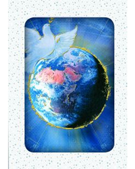 Kerstkaarten doosje 10x duif en de wereld (F13065)