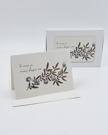 Kerstkaarten doosje 10x ik wens je (F13067)