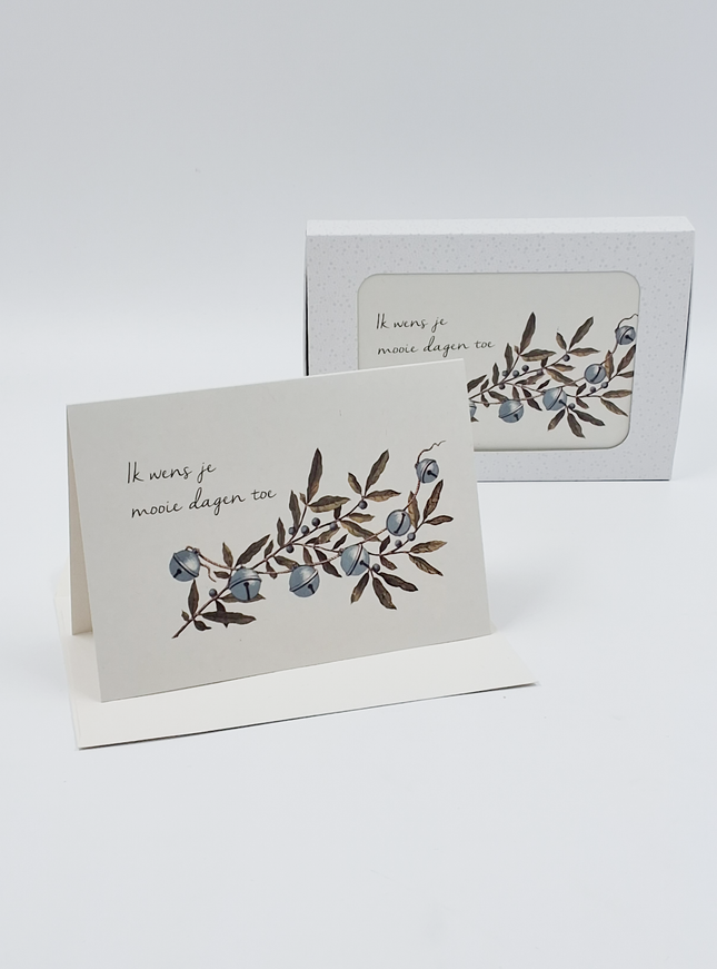 Kerstkaarten doosje 10x ik wens je (F13067)