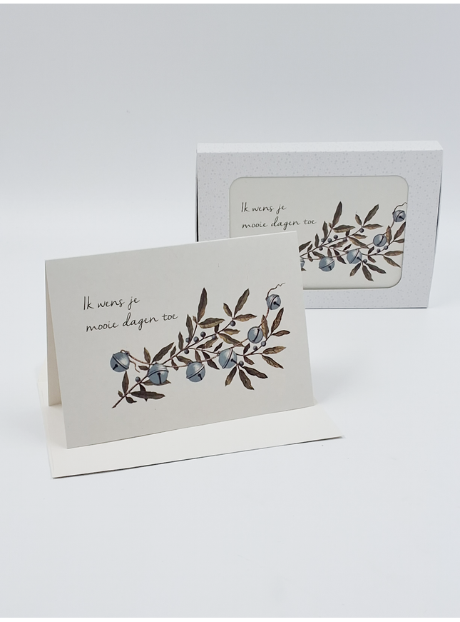 Kerstkaarten doosje 10x ik wens je (F13067)