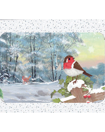 Kerstkaarten doosje 10x roodborstje (F13082)