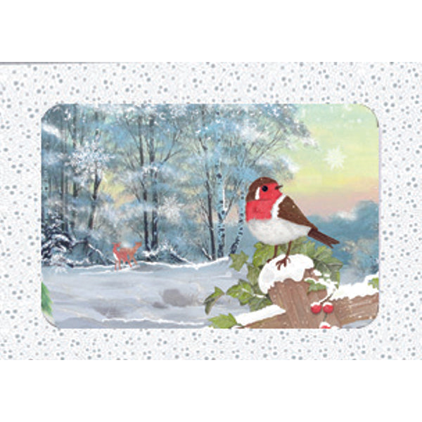 Kerstkaarten doosje 10x roodborstje (F13082)