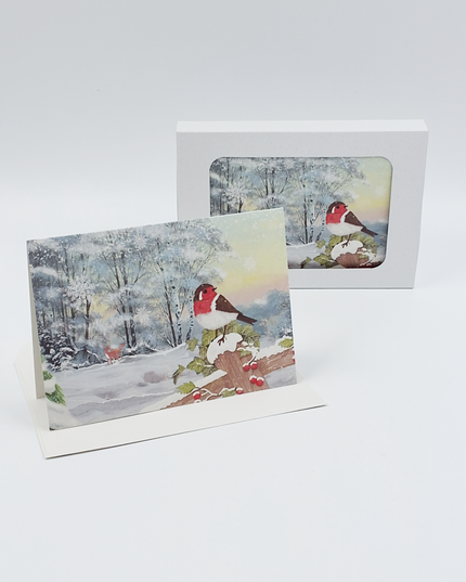 Kerstkaarten doosje 10x roodborstje (F13082)