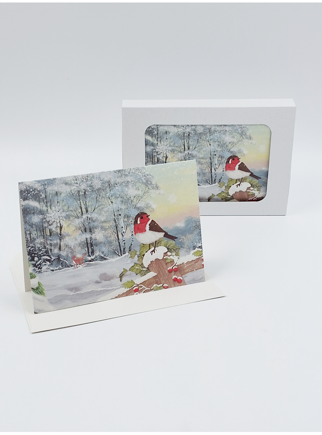 Kerstkaarten doosje 10x roodborstje (F13082)