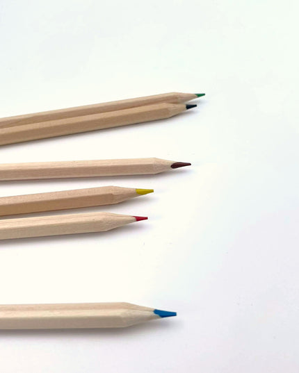 Ecobos doosje met 6 kleurpotloden blanco