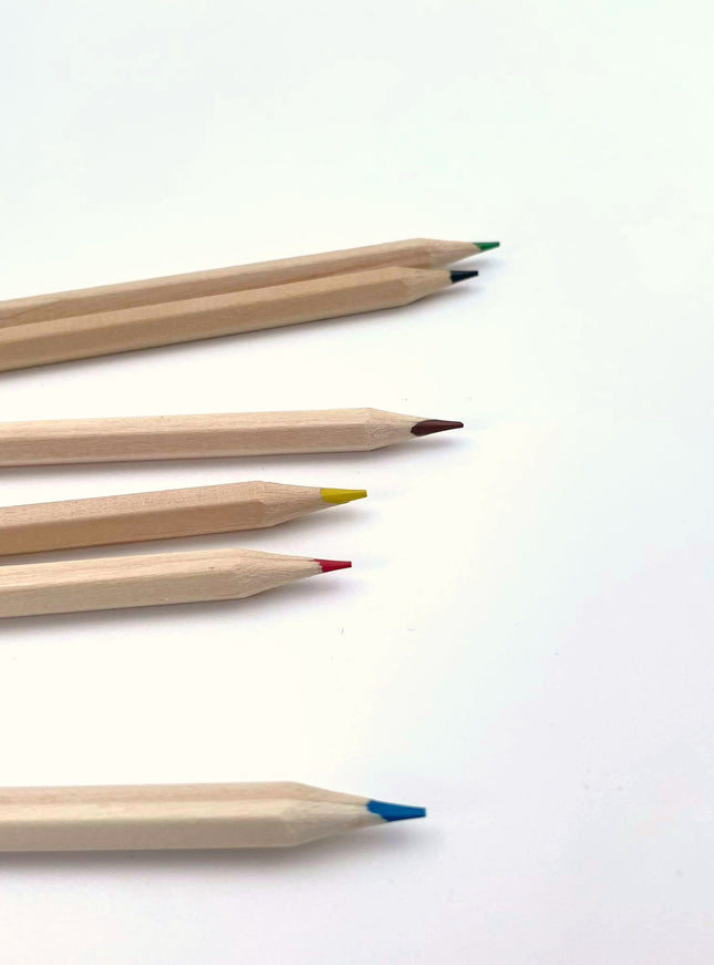 Ecobos box with 6 blank colored pencils