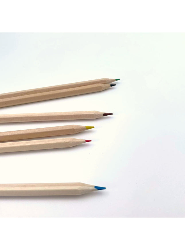 Ecobos doosje met 6 kleurpotloden blanco