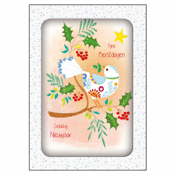 Kerstkaarten doosje 10x duif fijne feestdagen (F13116)