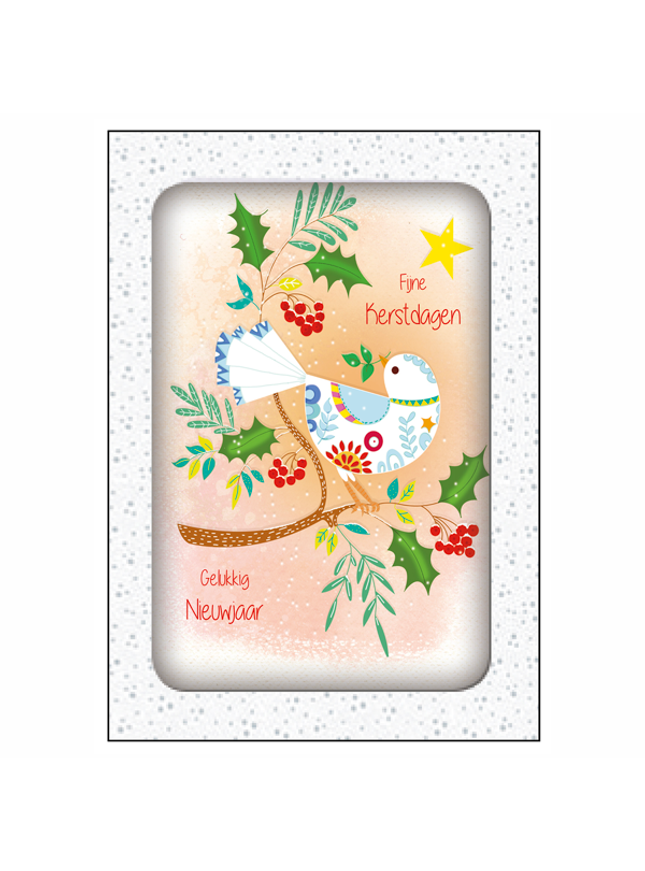 Kerstkaarten doosje 10x duif fijne feestdagen (F13116)