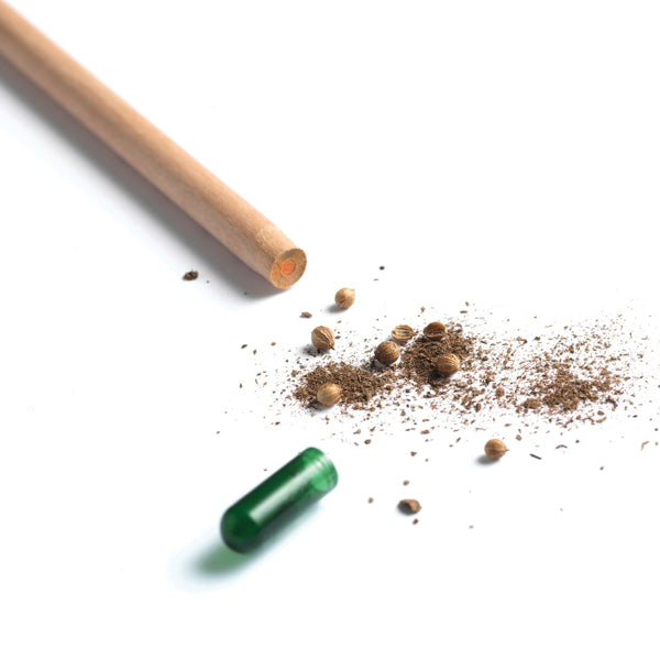 Sprout pencil with seeds - coriander