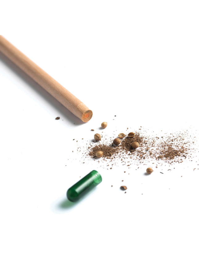 Sprout potlood met zaden - zonnebloem