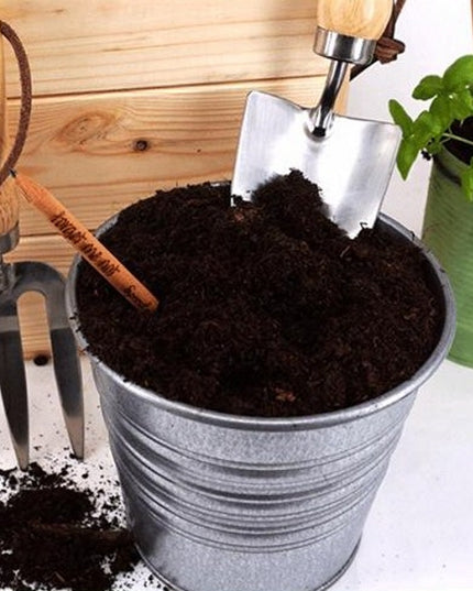 Sprout potlood met zaden - zonnebloem