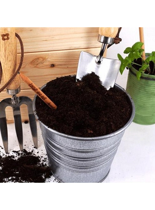 Sprout potlood met zaden - chia