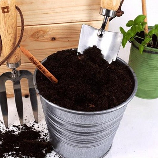 Sprout pencil with seeds - coriander