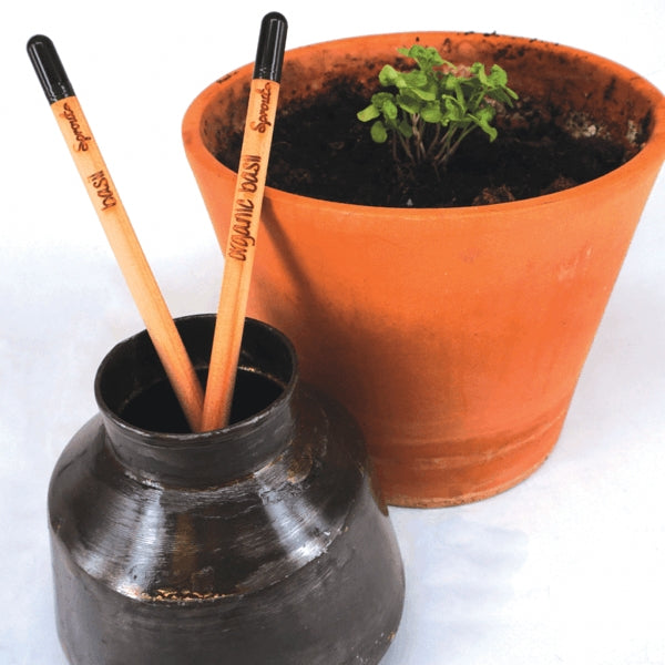 Sprout pencil with seeds - basil