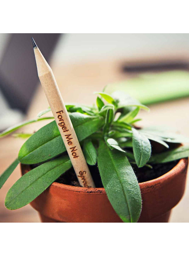 Sprout potlood met zaden - vergeet-me-nietje