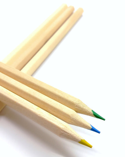 Ecobos doosje met 6 kleurpotloden blanco