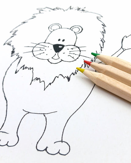 Ecobos doosje met 6 kleurpotloden blanco