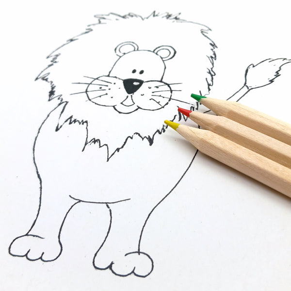 Ecobos box with 6 blank colored pencils