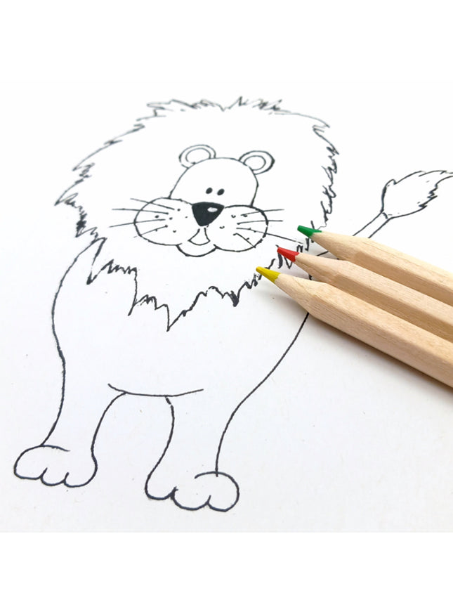 Ecobos doosje met 6 kleurpotloden blanco